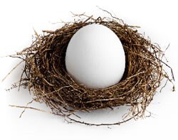 Image of an egg in a nest
